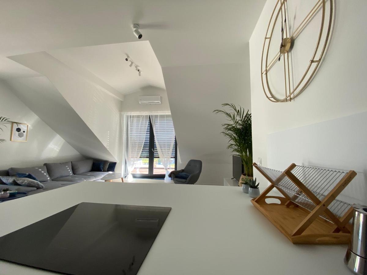 Lazy Deer - Apartamenty Jelenia Góra Extérieur photo