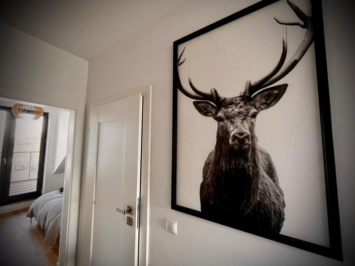 Lazy Deer - Apartamenty Jelenia Góra Extérieur photo