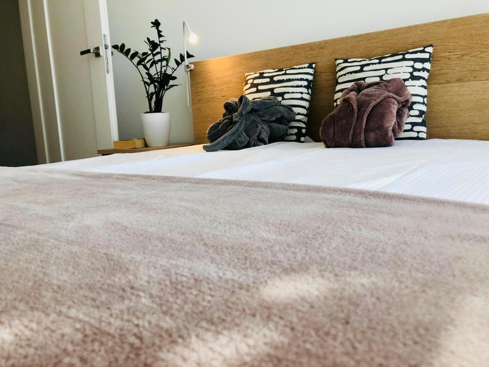 Lazy Deer - Apartamenty Jelenia Góra Extérieur photo